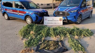 Adıyaman’ın Kahta ilçesinde jandarma ekipleri tarafından düzenlenen bir operasyonda 1,5