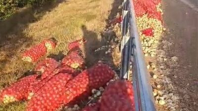 Eskişehir-Sivrihisar karayolunda meydana gelen trafik kazasında kontrolü kaybeden bir soğan