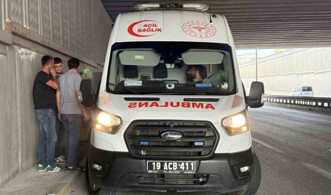Çorum’da yaşanan bir kaza sonucunda, seyir halindeki bir kamyondan yola