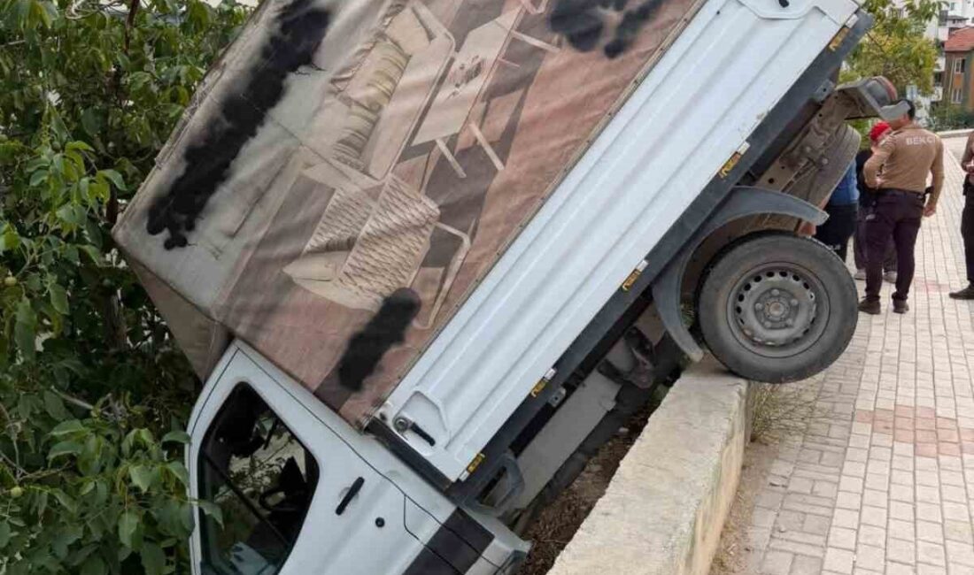Elazığ’daki bir kaza sonucunda, sürücüsünün kontrolünden çıkan bir kamyonetin bir