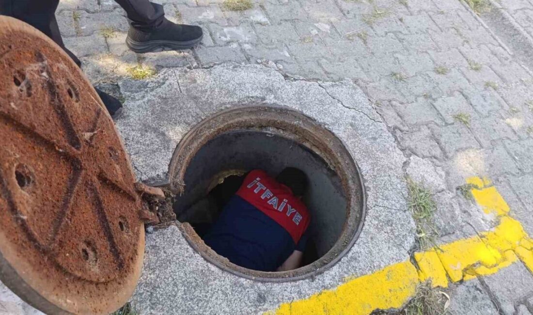 Alaplı ilçesinde bir kanalizasyon borusuna sıkışıp kalan yavru kedi, Alaplı