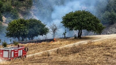 Karabük ilinde çıkan anız yangını, itfaiye ekipleri tarafından ormanlık alana