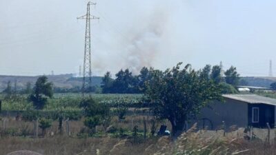 Bursa’nın Karacabey ilçesine bağlı Hayırlar Mahallesi’nde bulunan makilik alanda çıkan