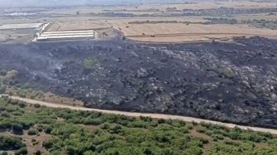 Bursa’nın Karacabey ilçesine bağlı Hayırlar Mahallesi’nde makilik alanda çıkan orman