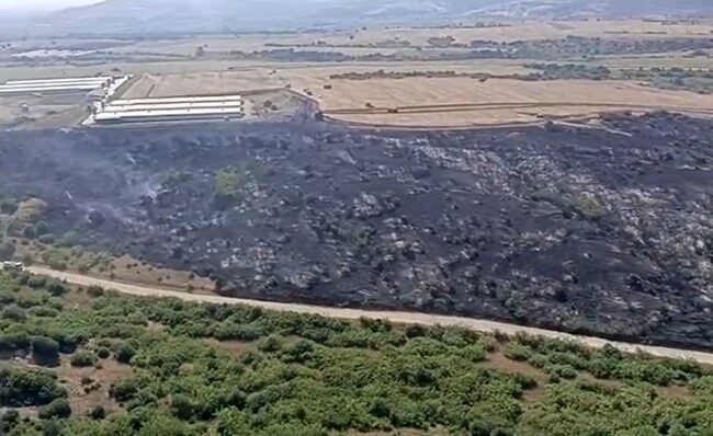 Bursa’nın Karacabey ilçesine bağlı Hayırlar Mahallesi’nde makilik alanda çıkan orman