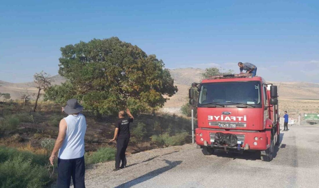 Konya’nın Karapınar ilçesindeki ot yangını, Acıgöl mevkisinde meydana geldi. Yangın,