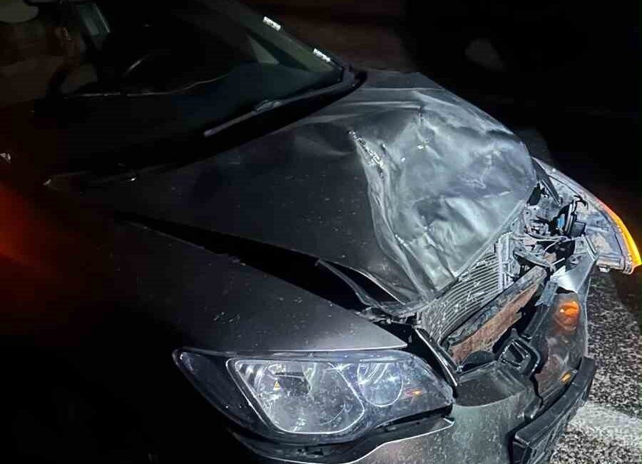 Adıyaman’da, bir eşeğin aniden karayoluna fırlaması sonucu meydana gelen trafik