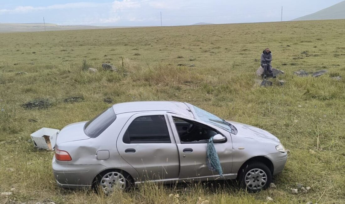 Kars-Iğdır karayolunda seyir halinde olan bir otomobilin sürücüsü, direksiyon hakimiyetini