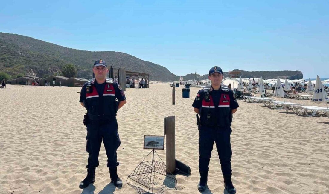 Antalya İl Jandarma birimleri, nesli tehlike altında olan deniz kaplumbağalarının