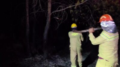 Antalya’nın Kaş ilçesinde başlayan orman yangını büyük ölçüde kontrol altına