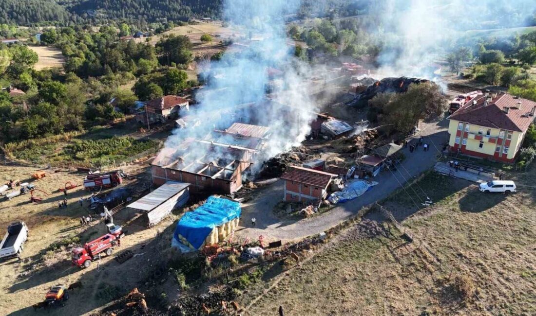 Kastamonu’nun İhsangazi ilçesinde meydana gelen yangında 14 büyükbaş hayvan telef
