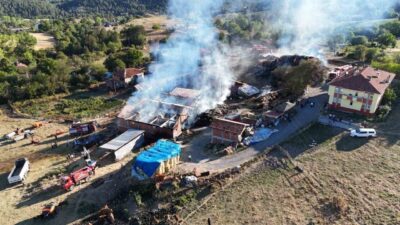 Kastamonu’nun İhsangazi ilçesinde meydana gelen yangında 14 büyükbaş hayvan telef