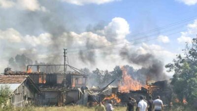 Kastamonu’nun Seydiler ilçesinde meydana gelen yangında, 2 ev, 1 ahır