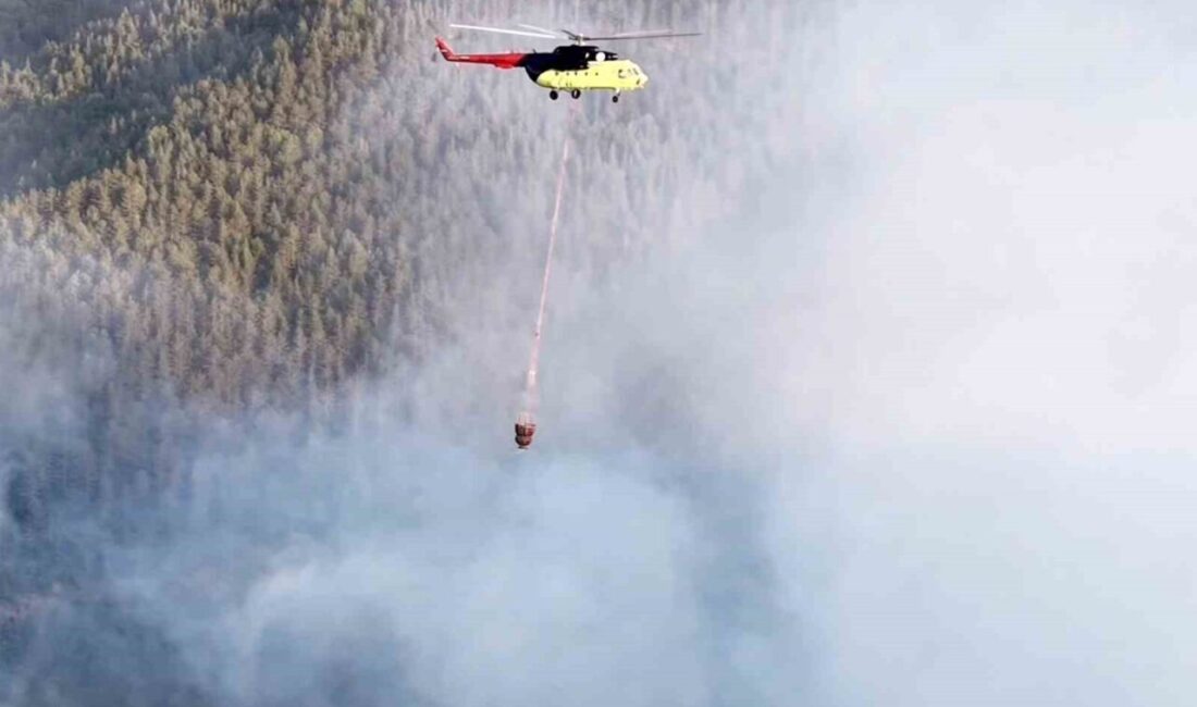 Kastamonu’nun Taşköprü ilçesinde meydana gelen orman yangını, havadan ve karadan