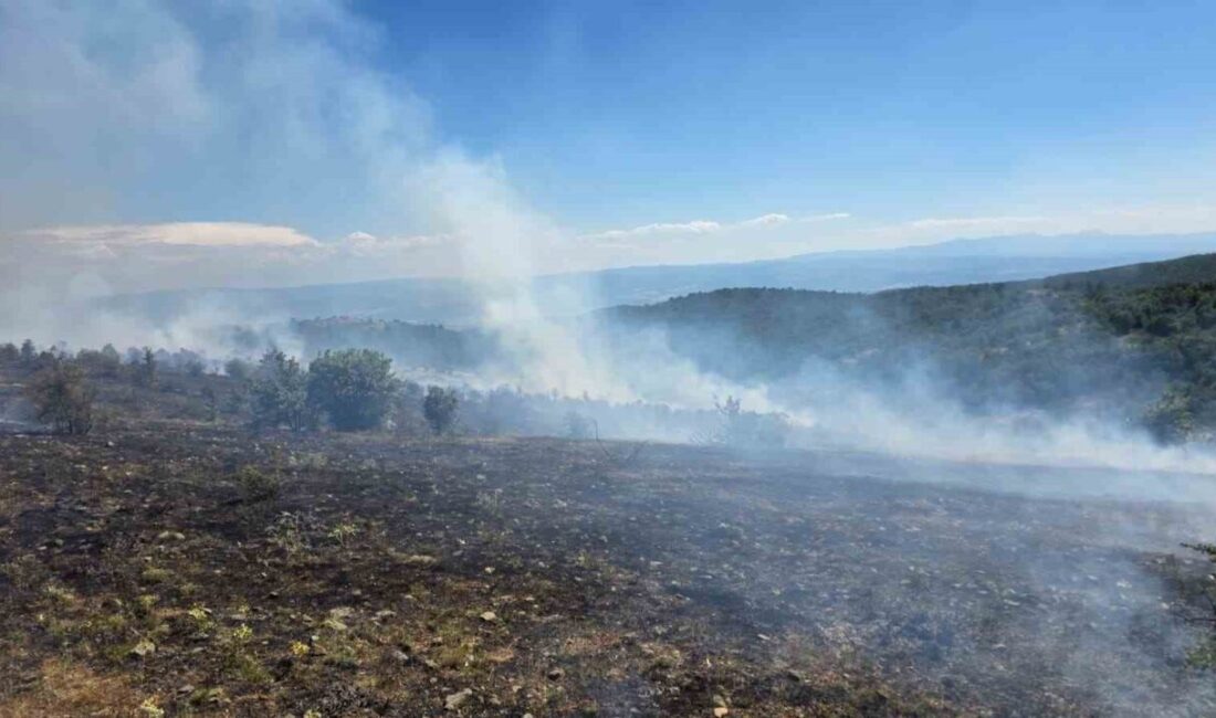 Kastamonu’nun Taşköprü ilçesinde, Donalar köyü Kılavuz mevkiinde meydana gelen orman
