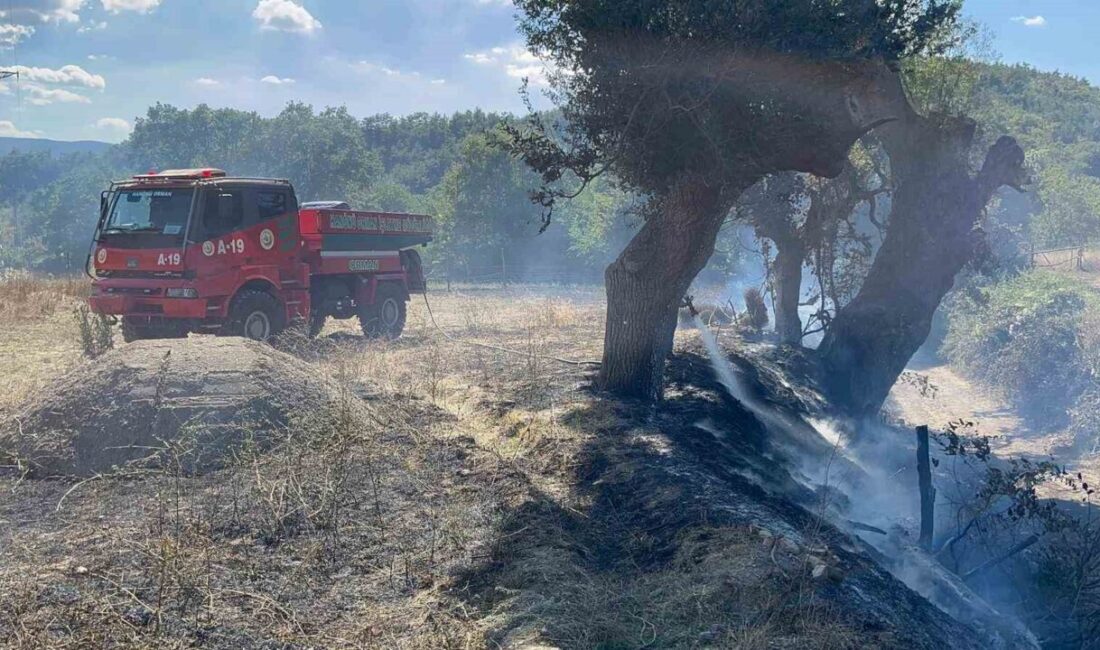 Hanönü ilçesine bağlı Hanönü Mahallesi Yeniköy küme evleri mevkisinde tarlada