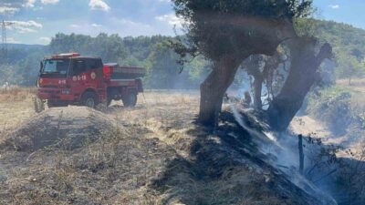 Hanönü ilçesine bağlı Hanönü Mahallesi Yeniköy küme evleri mevkisinde tarlada