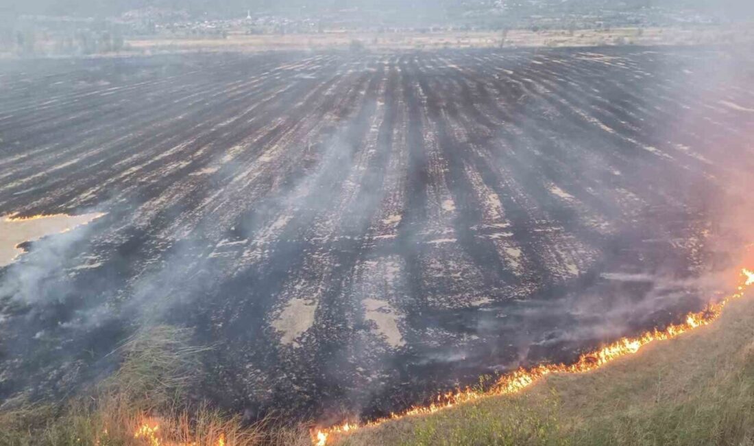 Tosya İlçesi’nde Çıkan Örtü Yangınında 400 Dönümlük Tarım Alanı Zarar