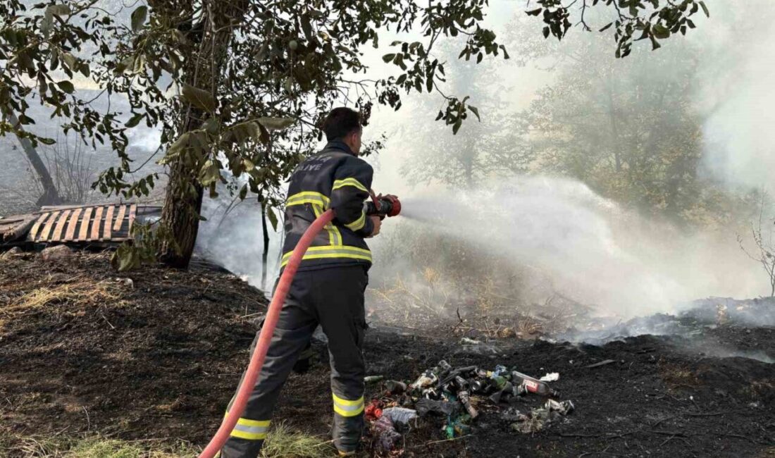 Kastamonu’nun Tosya ilçesinde, dere yatağında başlayan yangın, çevredeki bahçelere sıçradı