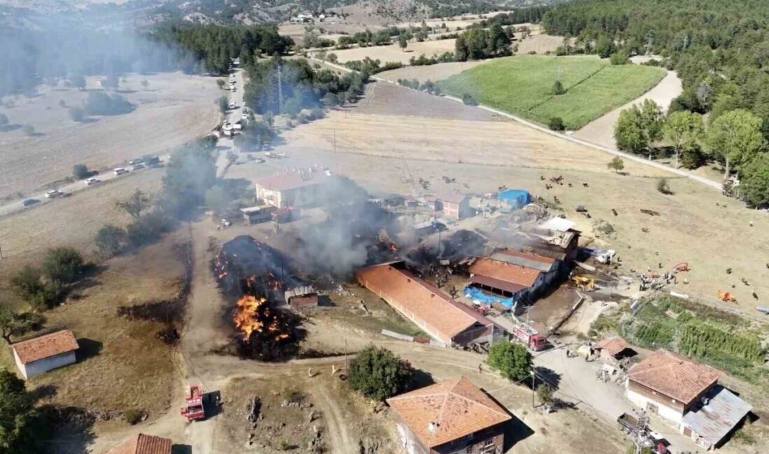 Kastamonu’nun İhsangazi ilçesine bağlı Güney köyünde meydana gelen samanlık yangını,