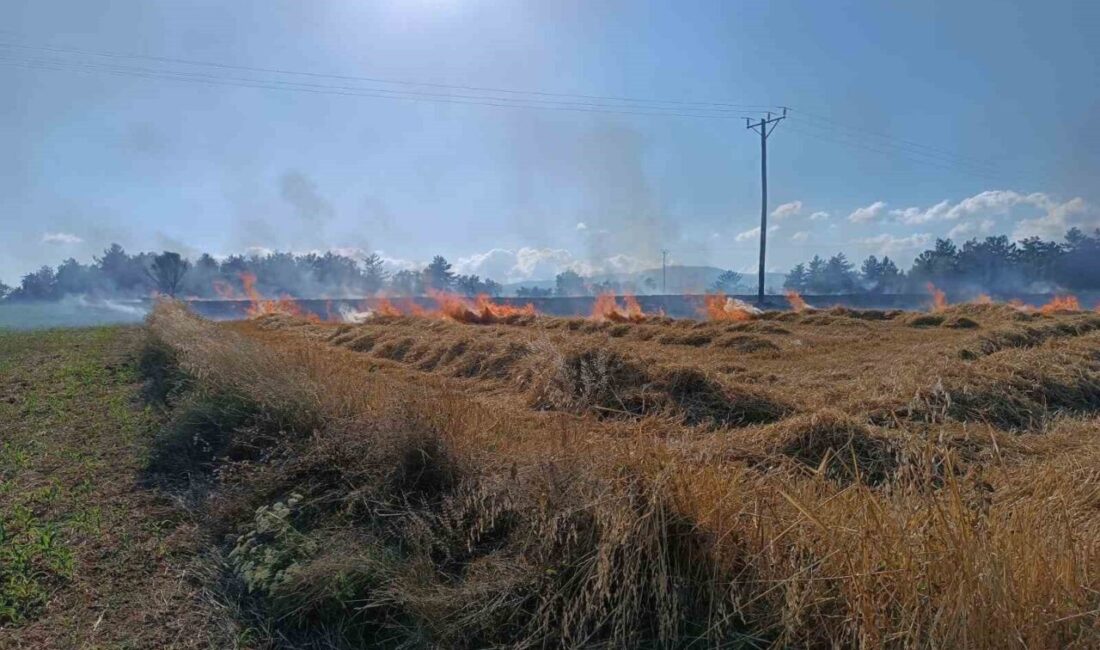 Kastamonu’nun Daday ilçesinde meydana gelen yangında, biçili vaziyetteki 13 dönümlük