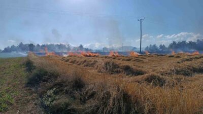 Kastamonu’nun Daday ilçesinde meydana gelen yangında, biçili vaziyetteki 13 dönümlük