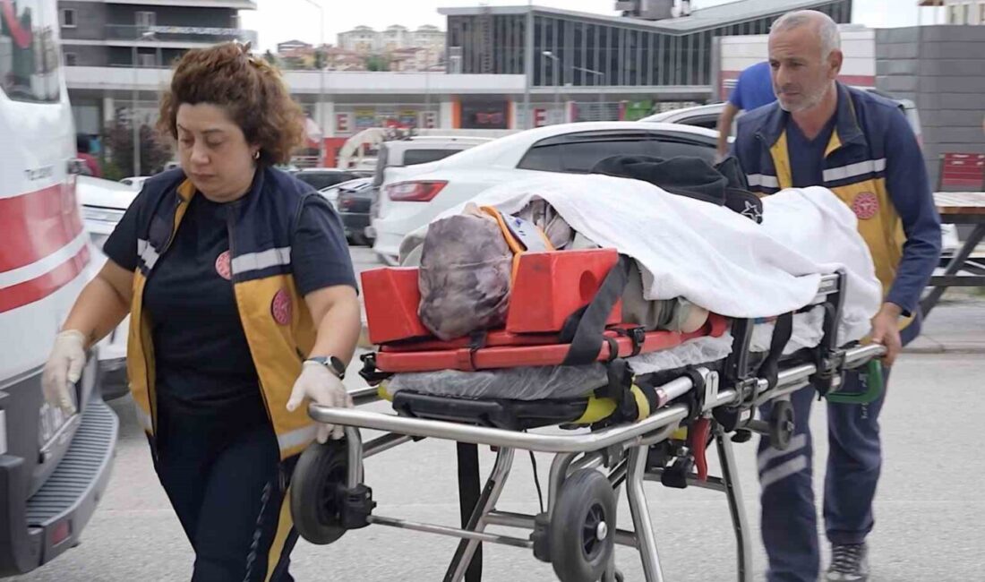 Seydiler ilçesinde yaşanan trafik kazasında otomobilin kamyona çarpması sonucu 3
