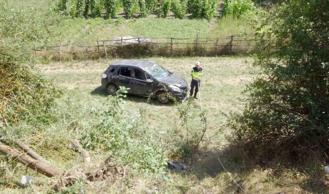 Kastamonu’nun Küre ilçesinde bir otomobilin 20 metrelik bir şarampole uçması