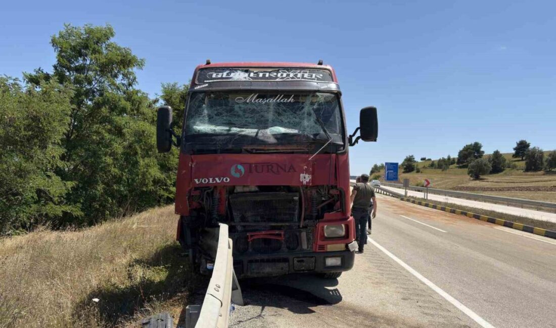 Seydiler ilçesinde meydana gelen trafik kazasında, tır ile çarpışan traktörün