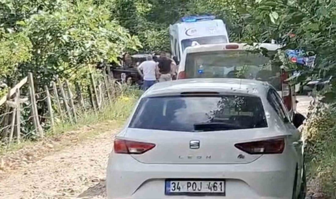 Kastamonu’nun Cide ilçesinde bir traktör duvara çarparak devrildi ve traktörün