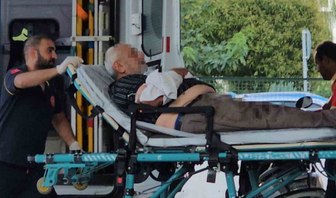 Sapanca ilçesinde meydana gelen bir olayda, bir şahıs kayınpederini tüfekle