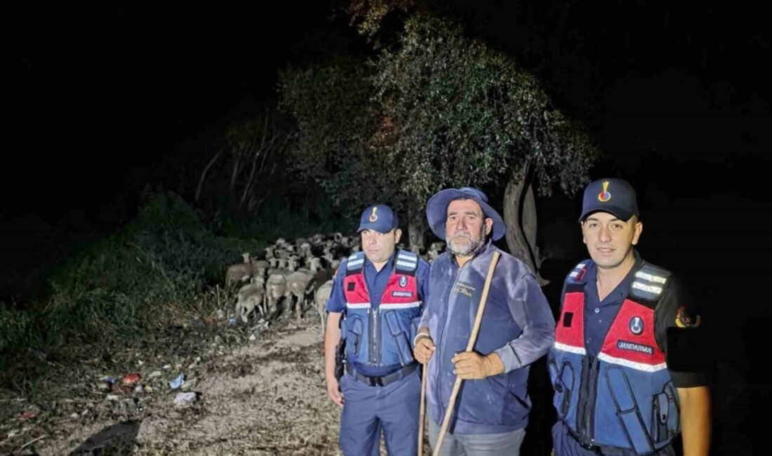 Bilecik’te bir çoban ile 100 koyunun kaybolduğu ihbarı üzerine jandarma
