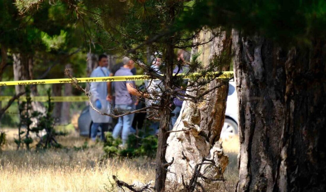 Karaman’da termal dronlarla desteklenen arama çalışmaları sonucunda, Mersin’in Mut ilçesinden