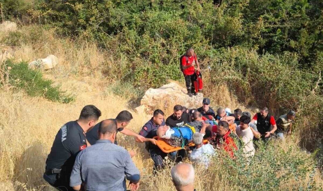Besni ilçesine bağlı Alişar Köyü’nde yaşayan 85 yaşındaki Ekrem Aydın,