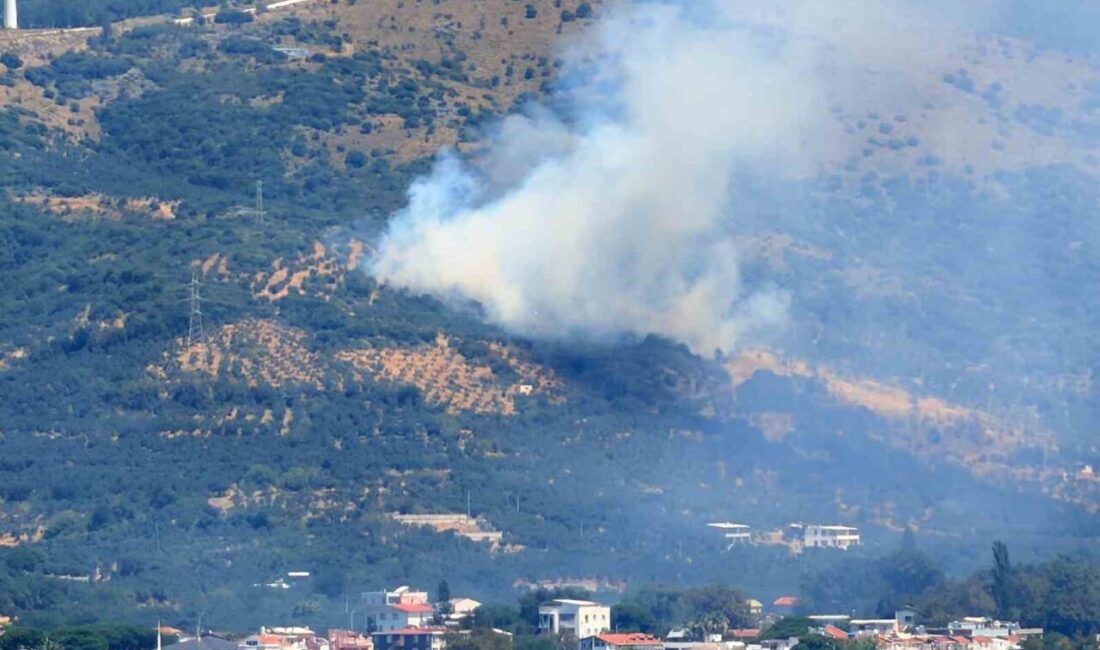 Balıkesir’in Marmara ilçesinde kırsal alanda başlayan ve büyük ölçüde kontrol
