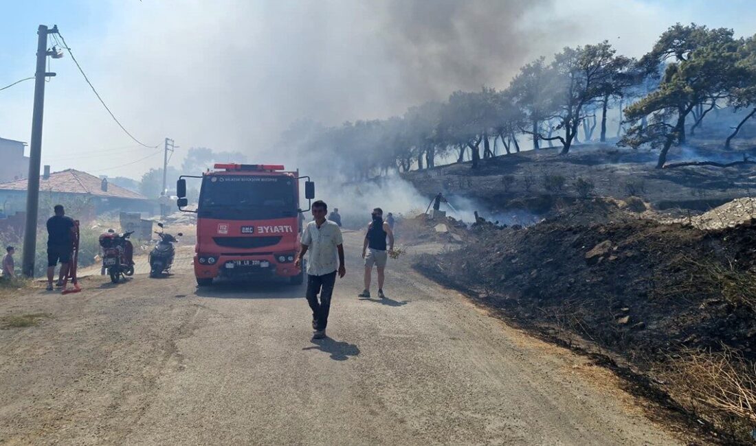 Kadıköy’e bağlı olan Balıkesir’in Edremit ilçesinde, Kazdağları’nın eteklerinde çıkan yangın,