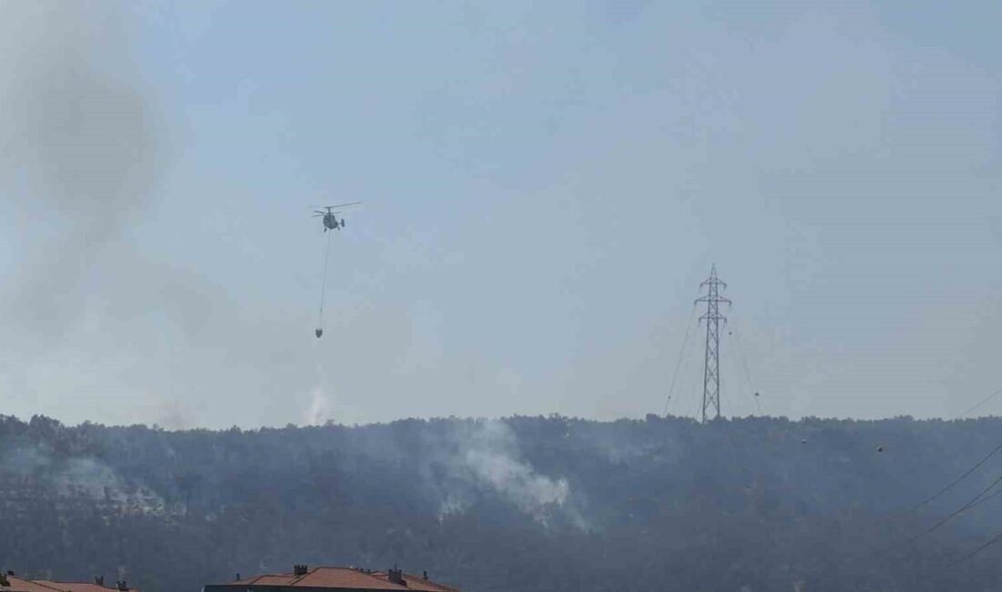 Balıkesir’in Edremit ilçesine bağlı Kadıköy’de Kazdağları’nın eteklerinde çıkan yangın, yapılan