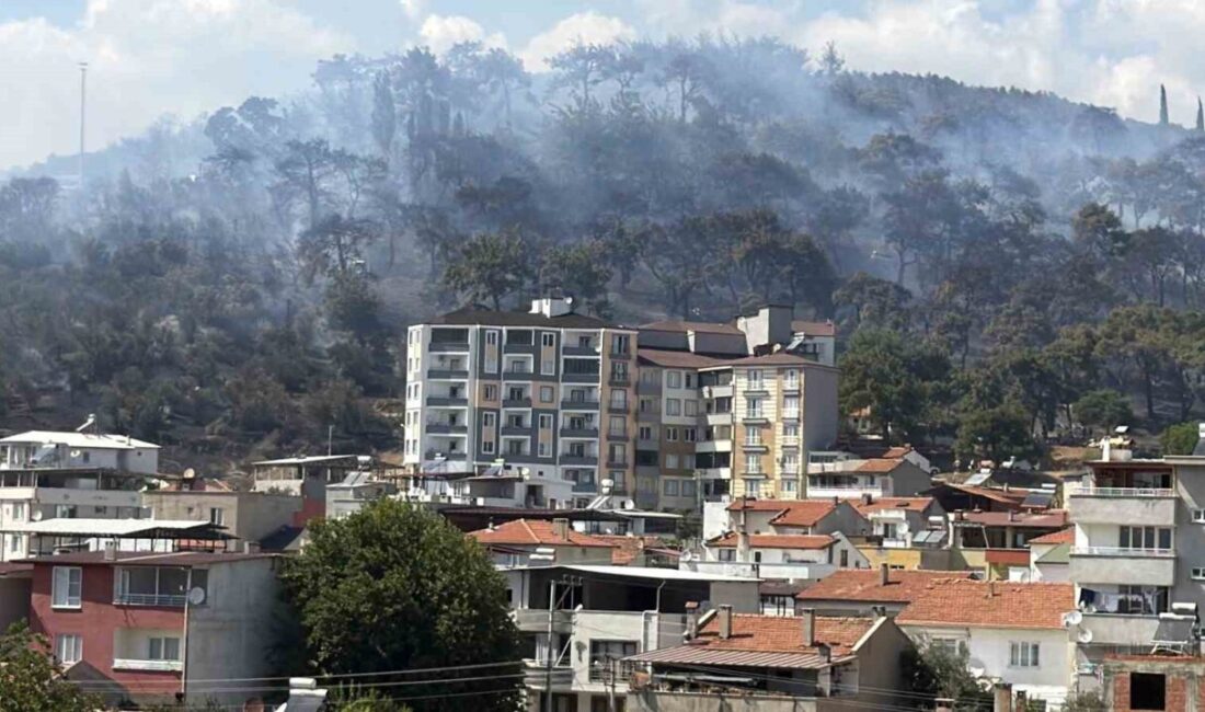 Edremit ilçesinde, Kazdağları’nın eteklerinde bulunan Kadıköy mevkiinde başlayan orman yangınına