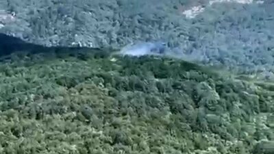 Balıkesir’in Edremit ilçesine bağlı Narlı Mahallesi’nde, Kazdağları’ndaki ormanlık alana yıldırım