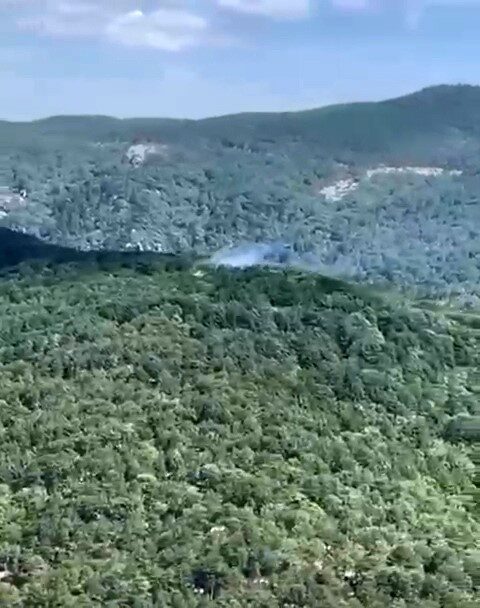 Balıkesir’in Edremit ilçesine bağlı Narlı Mahallesi’nde, Kazdağları’ndaki ormanlık alana yıldırım