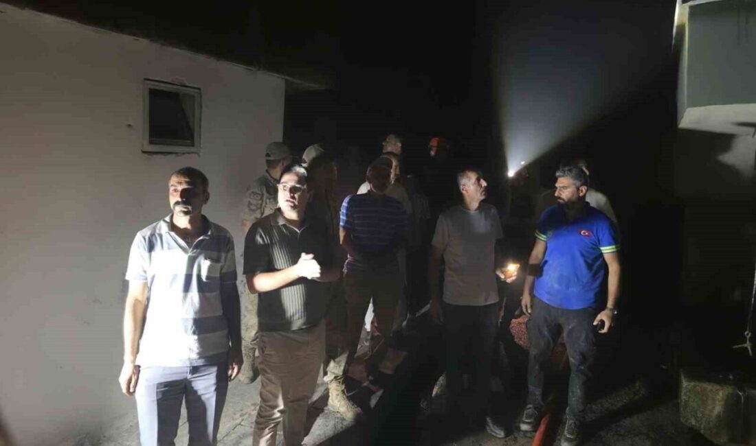 Erzincan’ın Kemaliye ilçesine bağlı Kışlacık köyünde meydana gelen yangında ilk