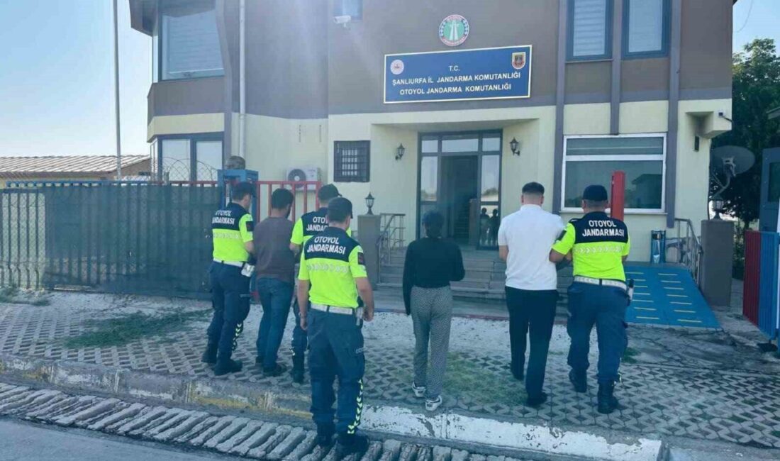 Şanlıurfa’da, polis kimliğiyle tanıtılarak dolandırıcılık yapan 3 kişi jandarma tarafından