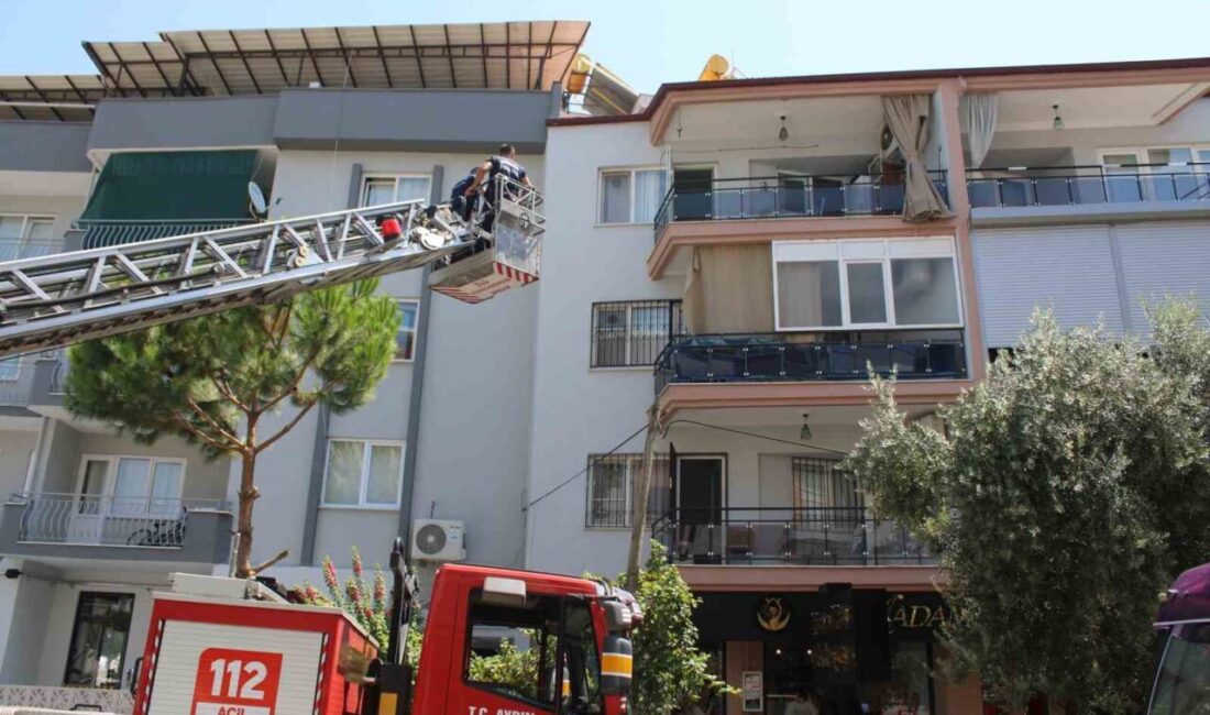 Aydın’ın Efeler ilçesinde 76 yaşındaki Elif Beyazköse’den bir süre haber