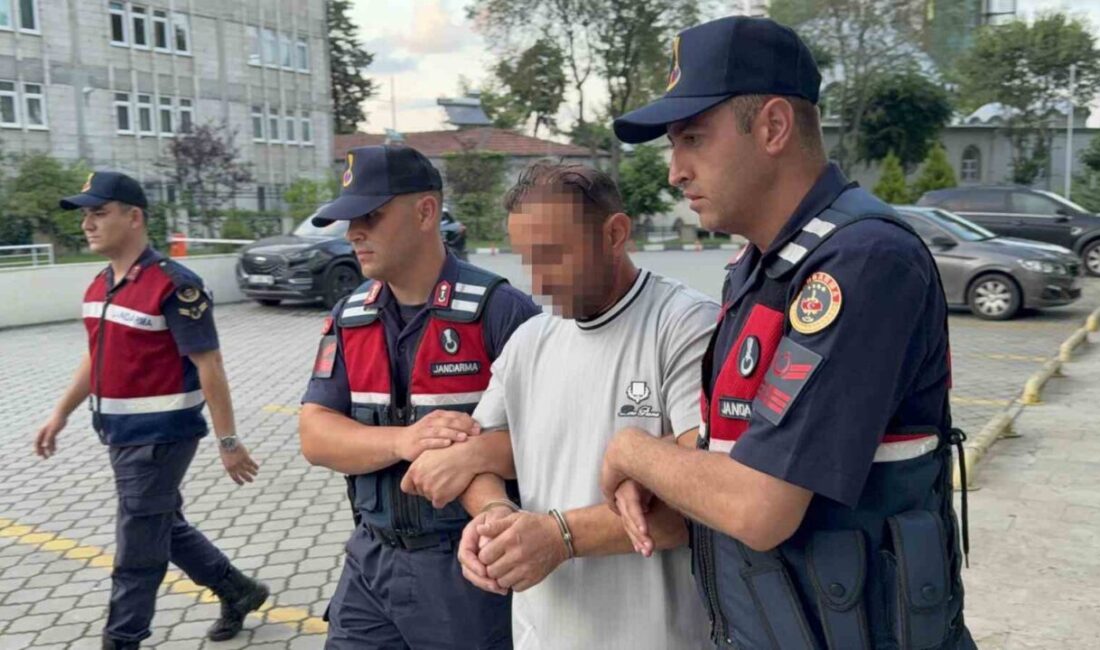 Samsun’un Tekkeköy ilçesinde yaşanan olayda, bir ayva ağacının kesilmesi üzerine