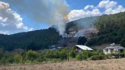 Bursa’nın Kestel ilçesinde tarım arazisinde başlayan yangın, kısa sürede ormanlık
