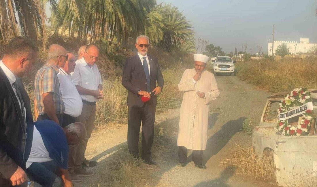 Türkiye’den Kıbrıs’a Kıbrıs Barış Harekatı’nı izlemek üzere giden ve Rum