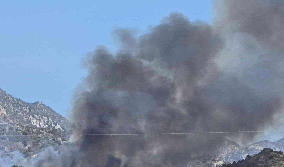 Kuzey Kıbrıs Türk Cumhuriyeti’nde bir orman yangını haberi geldi. Yamaçköy