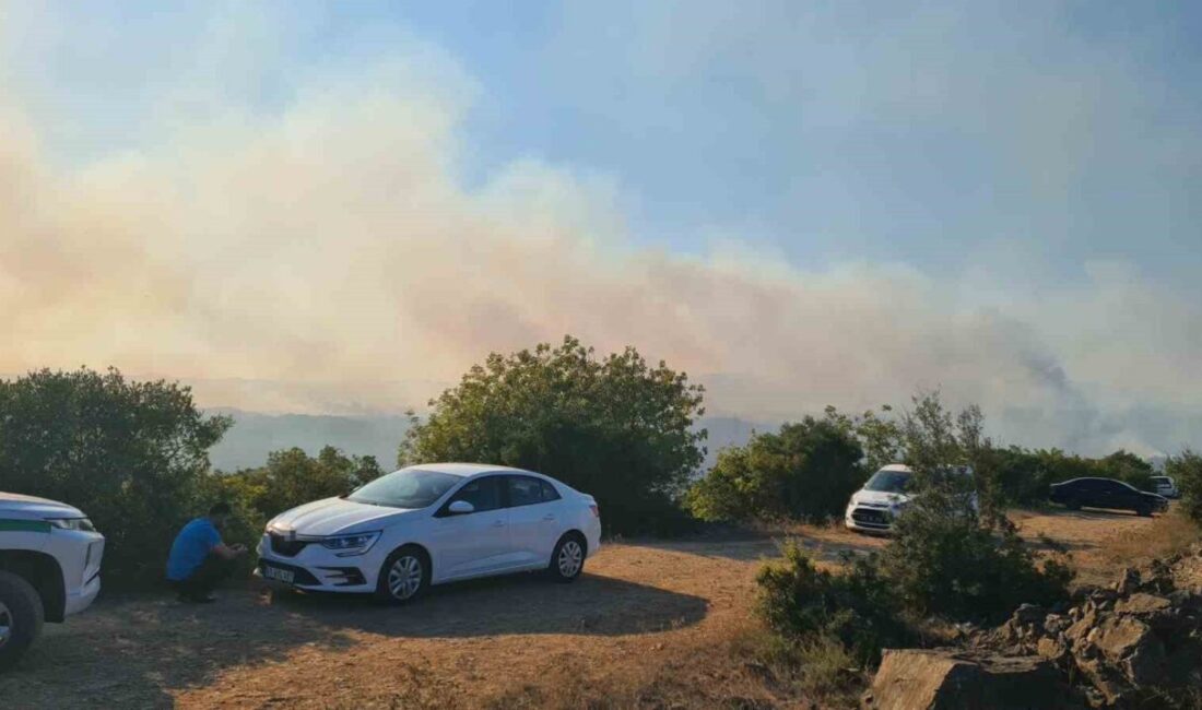 Kocaeli Valiliği, Gebze ilçesinde orman dışı alanda başlayan ve ormanlık
