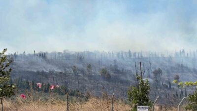 Kocaeli’nin Gebze ilçesindeki ormanlık alanda yangın çıktı ve ihbar üzerine