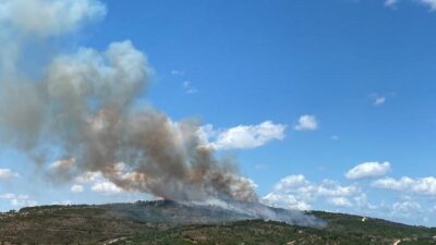Kocaeli’nin Gebze ilçesinde Beylikbağı Mahallesi’nde meydana gelen orman yangını, havadan